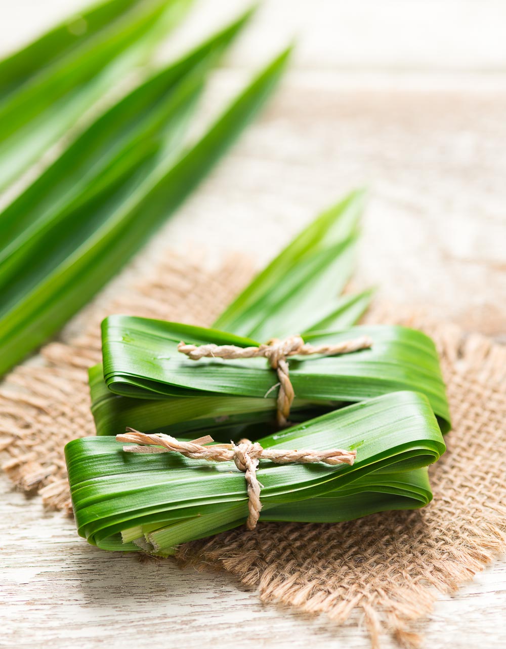 Fresh pandan leaves