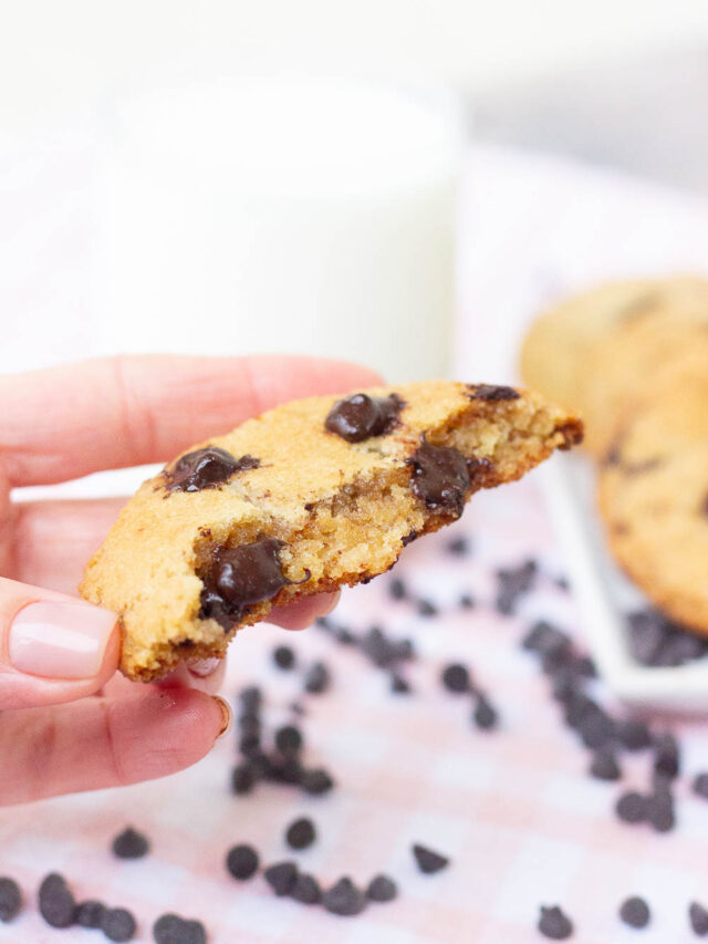 Air fryer lao crispy rice (nam khao) a quick way to use rice leftover!