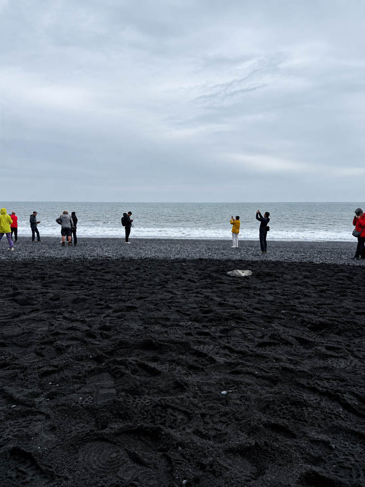 Black Sand Beach in Iceland