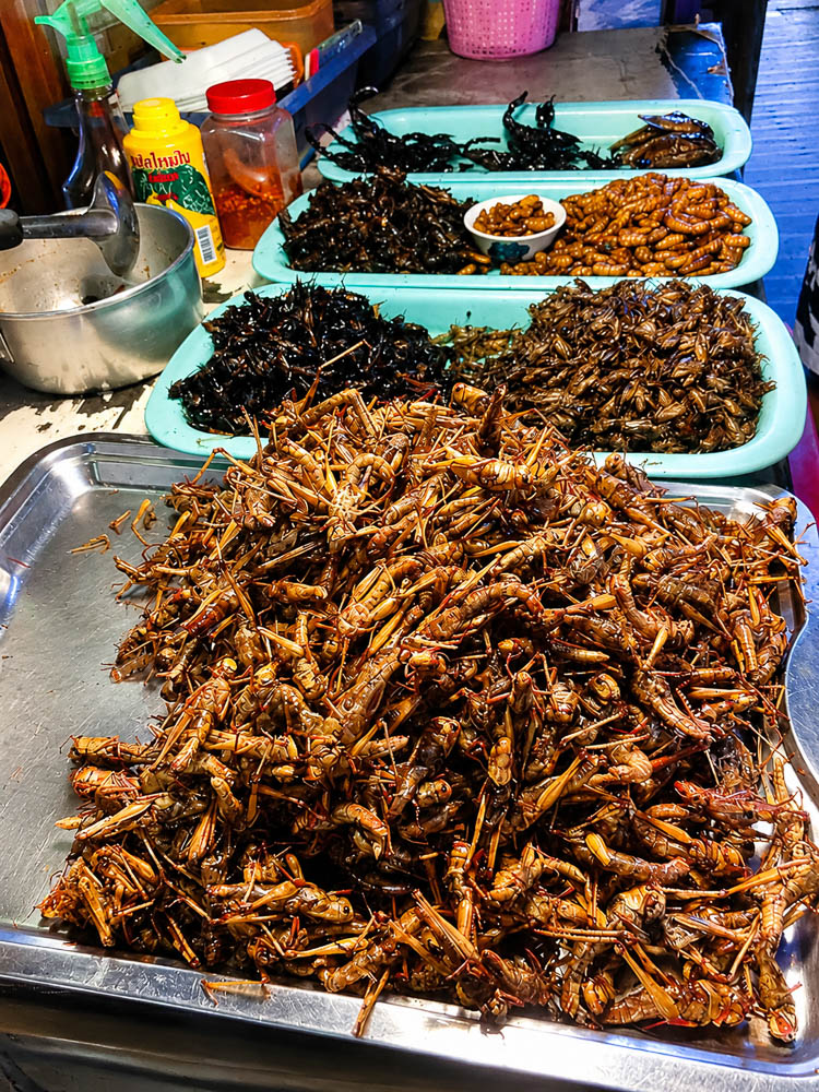Exotic food in Bangkok