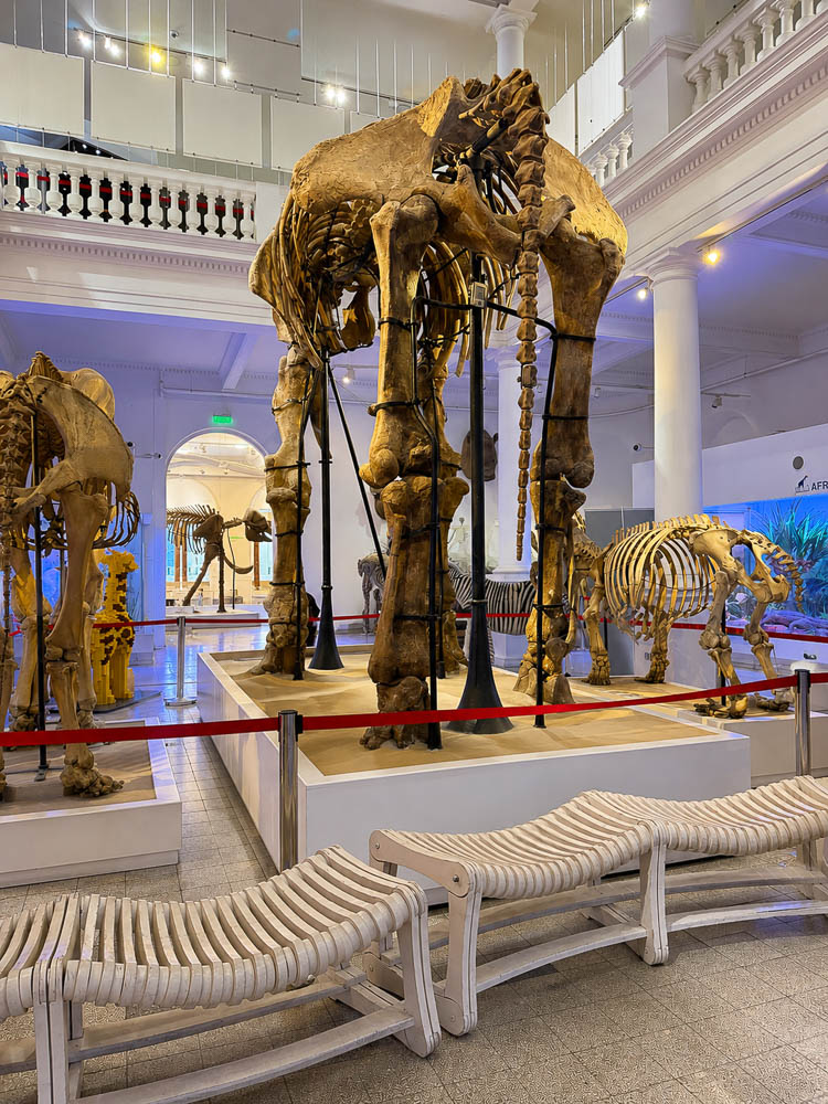 Grigore Antipa National Museum of Natural History | Ketchup with Linda