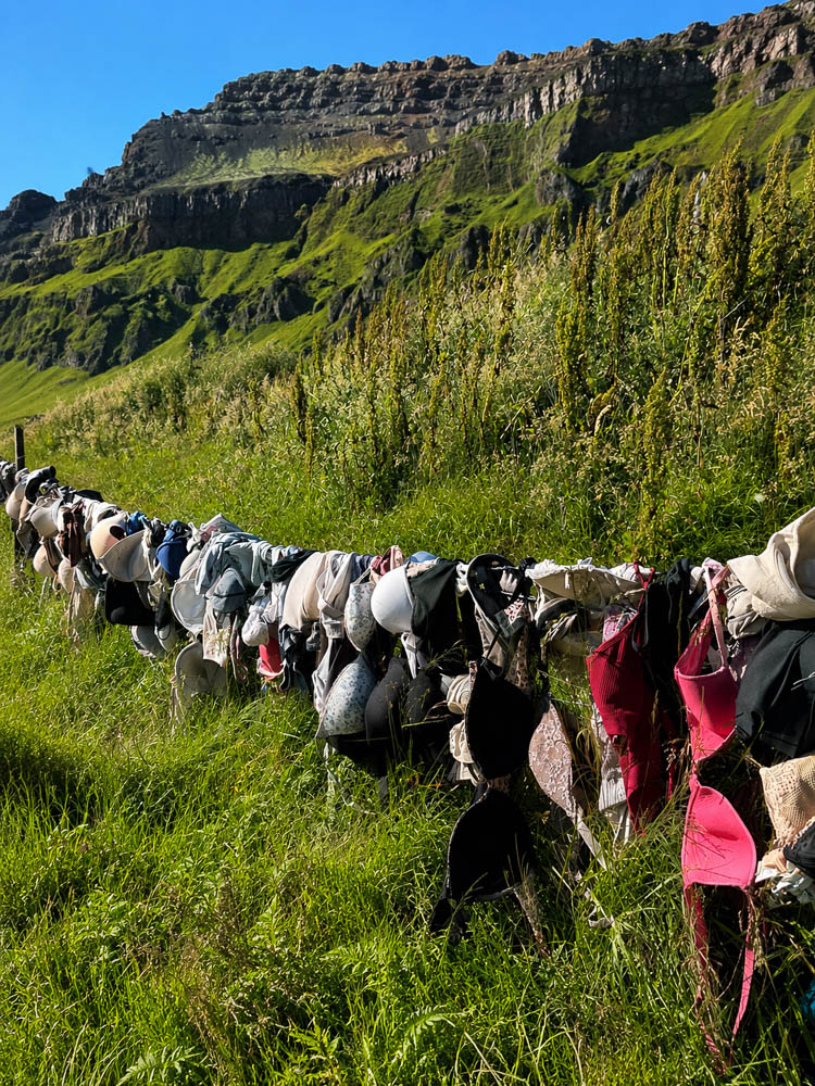 The Famous Bra Fence in Iceland