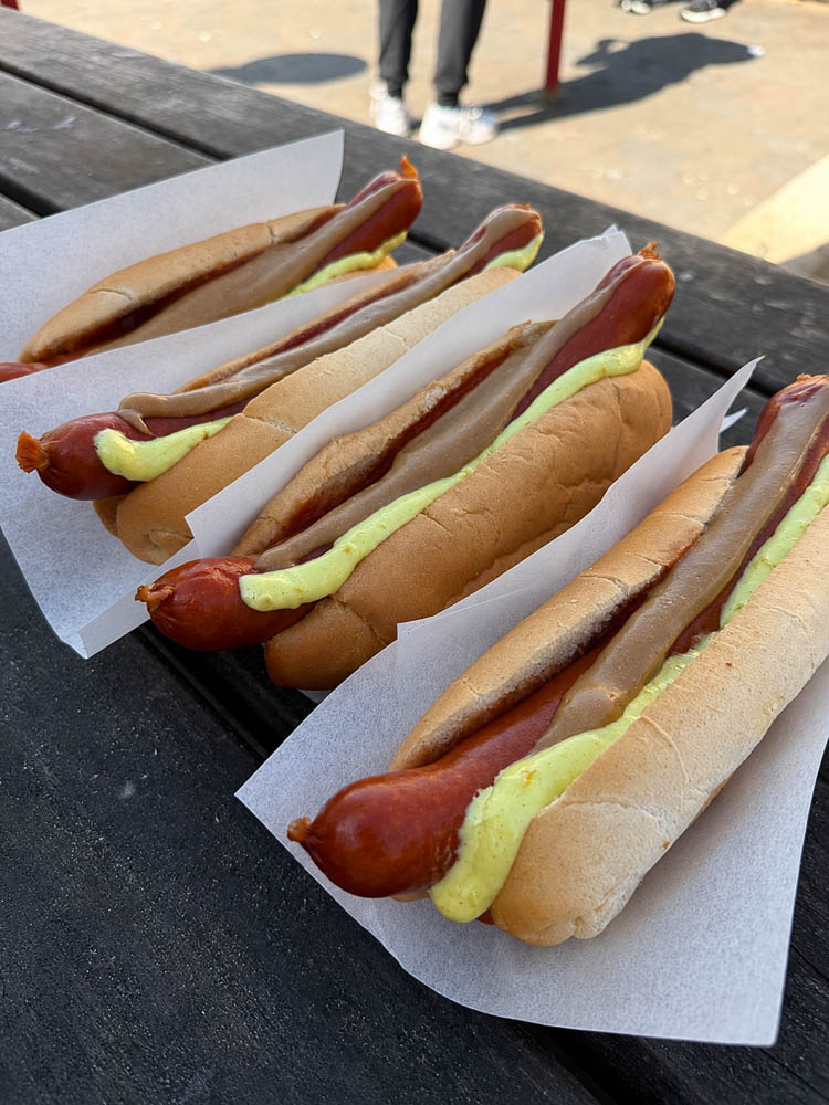Famous Icelandic Hot Dogs